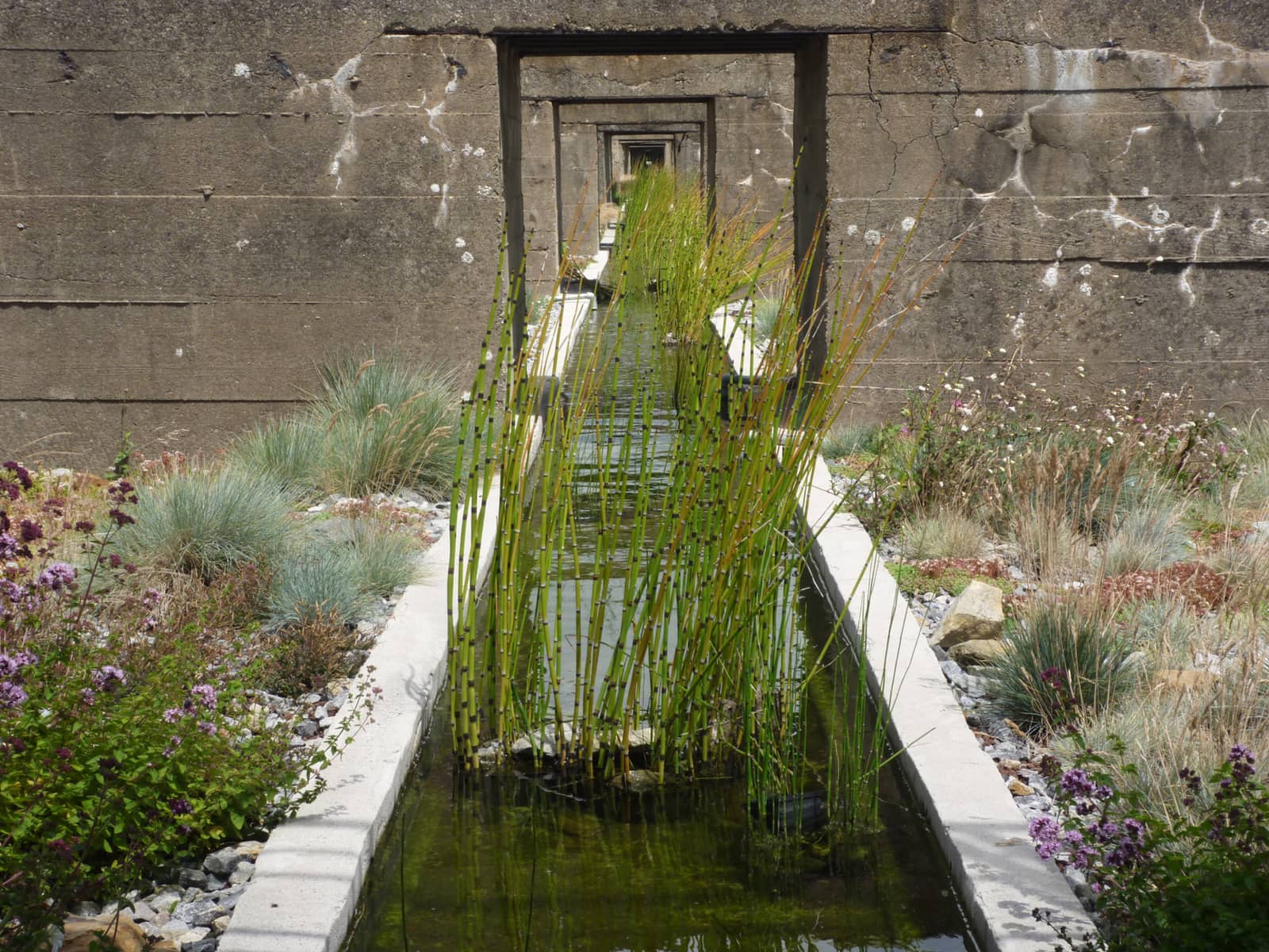Gardens of Interstitial Wildness: Cultivating Indeterminacy in the Metropolitan Landscape